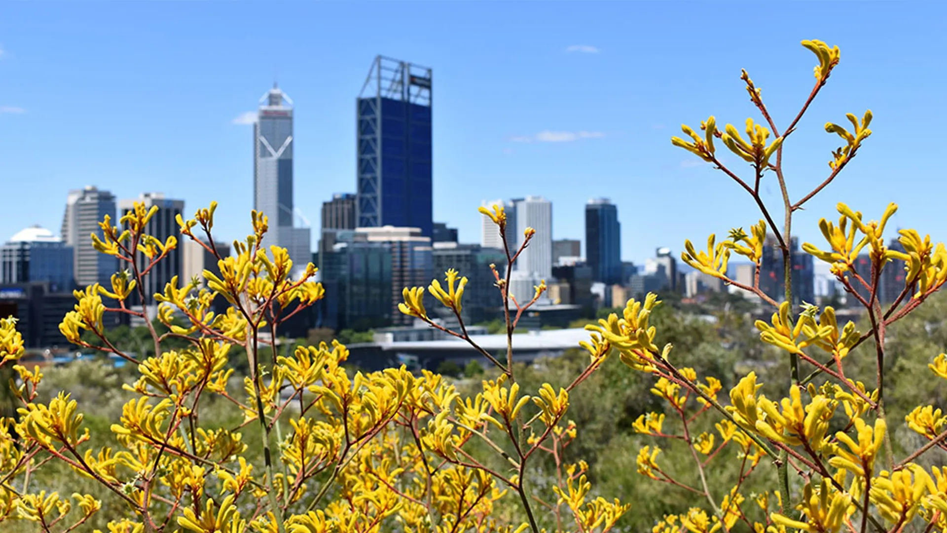 Holiday Inn Perth City Centre By Ihg Australia